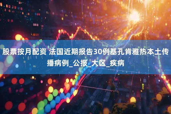 股票按月配资 法国近期报告30例基孔肯雅热本土传播病例_公报_大区_疾病