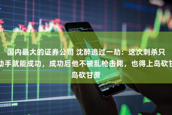 国内最大的证券公司 沈醉逃过一劫：这次刺杀只要动手就能成功，成功后他不被乱枪击毙，也得上岛砍甘蔗