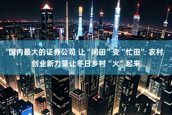 国内最大的证券公司 让“闲田”变“忙田” 农村创业新力量让冬日乡村“火”起来